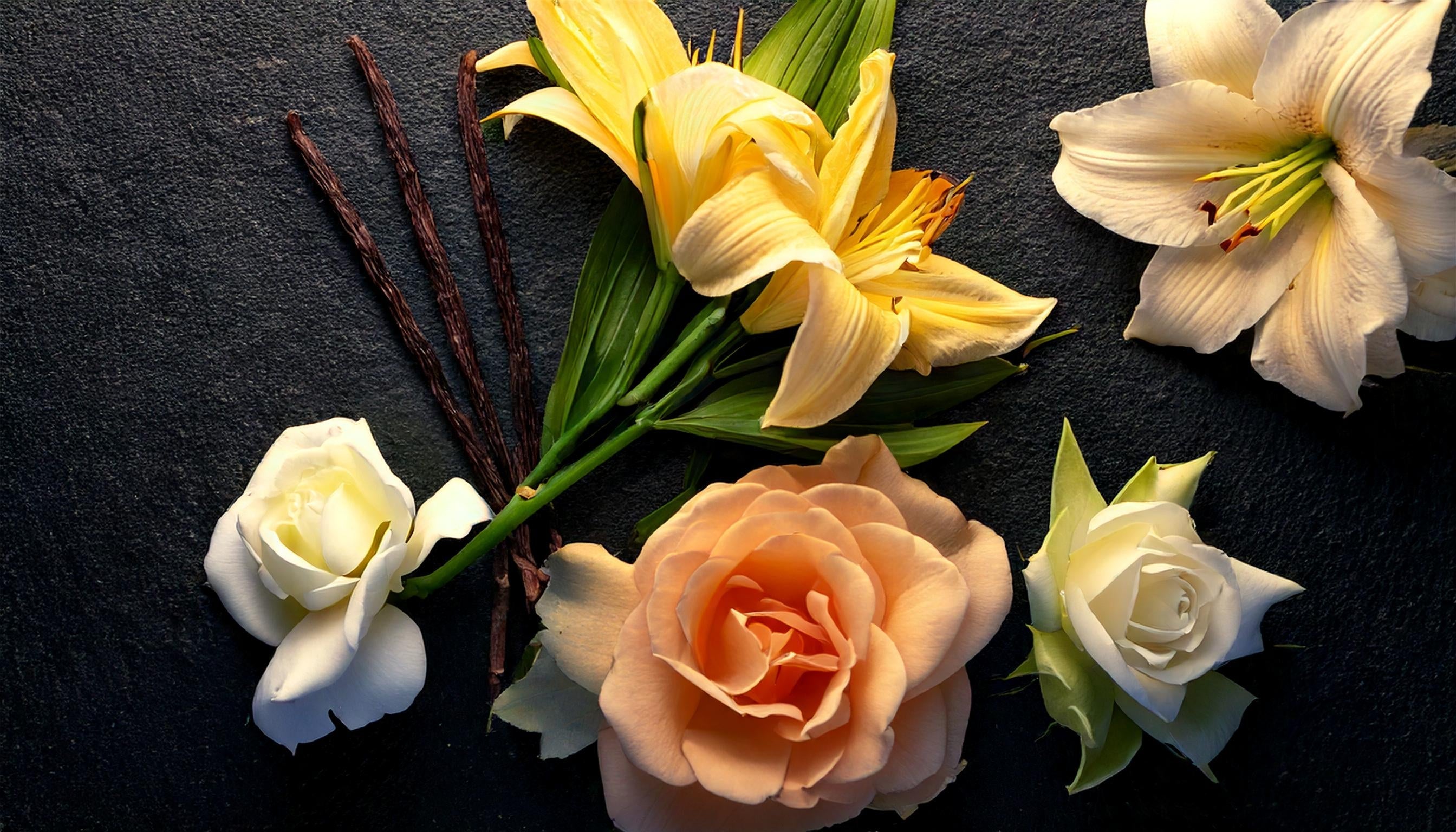Royal Gardenia