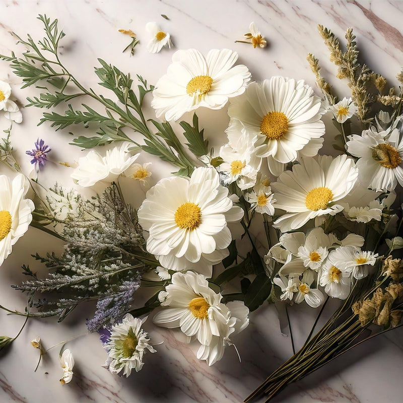 Geranium Chamomile