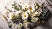 Geranium Chamomile