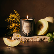 Mimosa Honeydew candle styled with mimosa flowers and honeydew melon