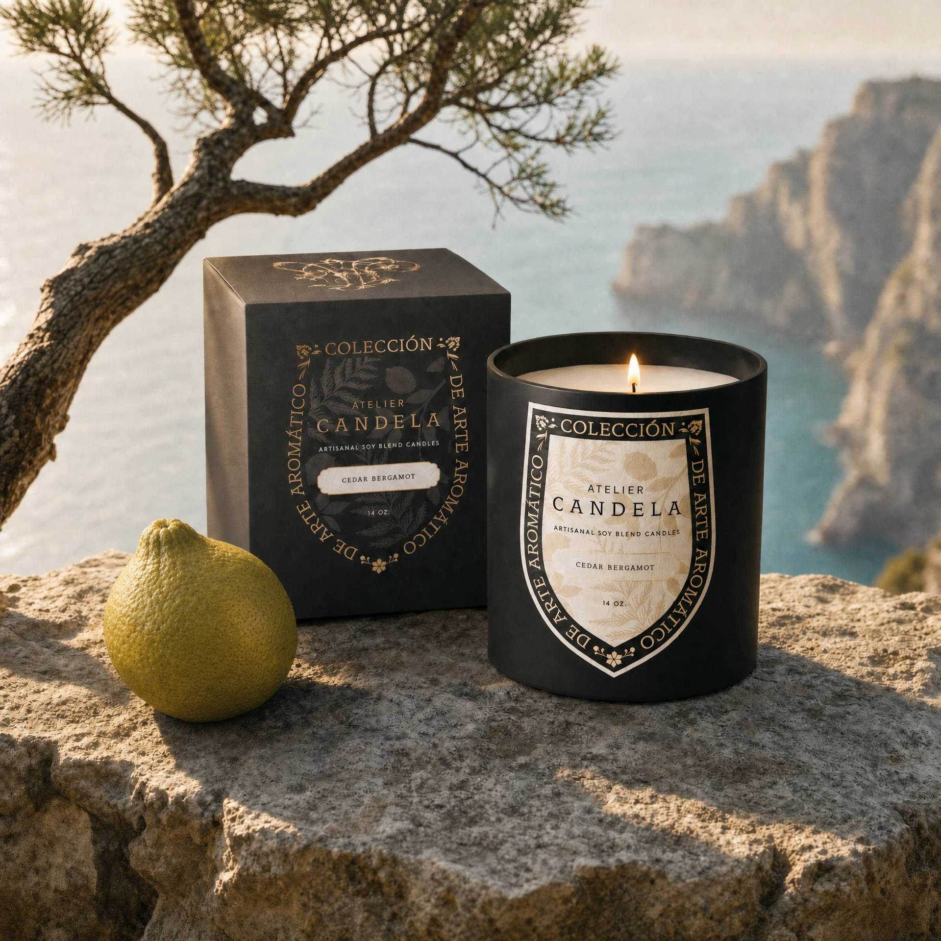 Cedar Bergamot candle and gift box on a Capri cliffside with cedar branch — still life