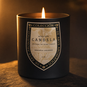 Mandarin Coriander 14oz black candle burning