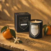Mandarin Coriander soy candle with mandarins and coriander seeds — Seville still life