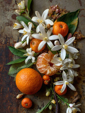 Mandarin and coriander fragrance ingredients